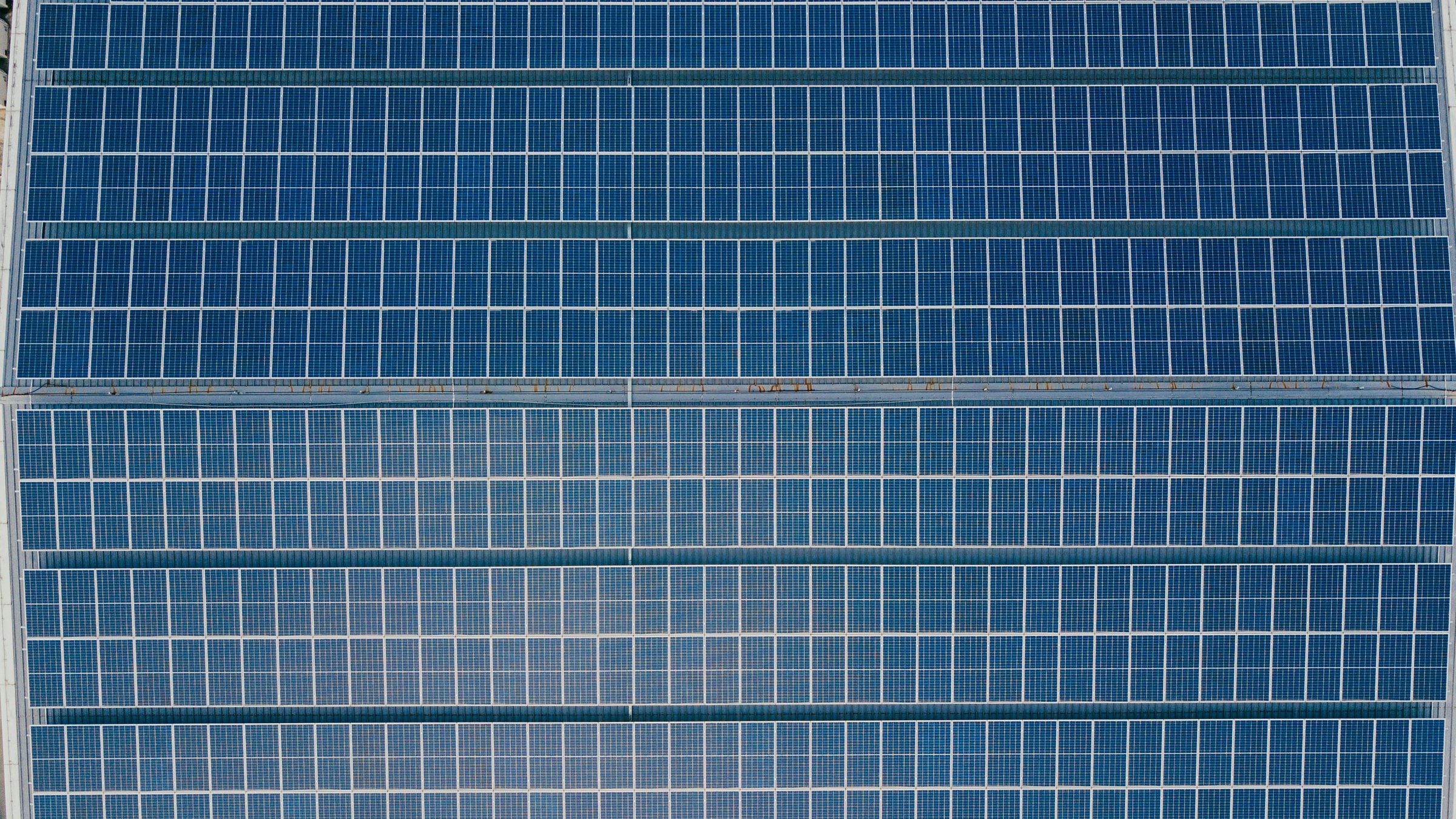 Cina blocca export di 14 tecnologie: la proposta su IA, biomedicina e fotovoltaico